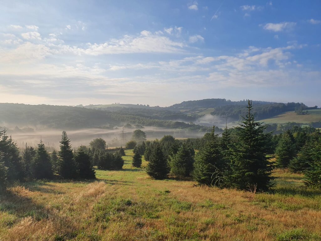 WhatsApp Image 2025-10-10 at 11.01.15 (1)