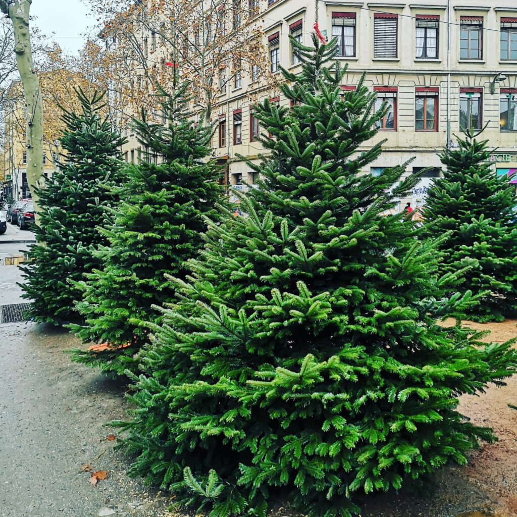 WhatsApp Image 2025-10-10 at 11.01.15