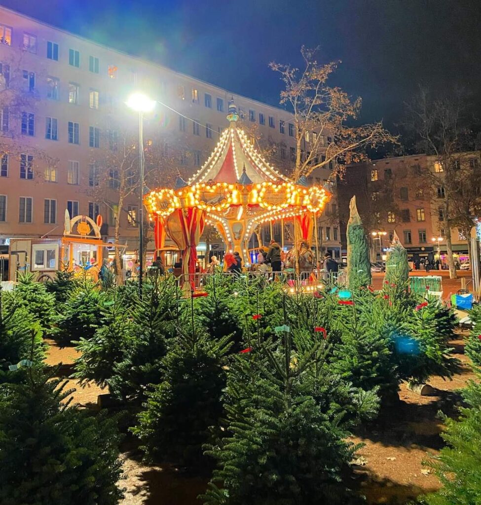 WhatsApp Image 2025-10-10 at 11.01.16